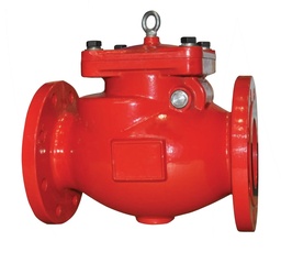 Fireguard Fire Protection Swing Check Valves